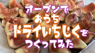 自家製ドライいちじくを作ってみた◆家庭菜園◆いちじく◆無花果◆ドライフルーツ◆Dry Fig