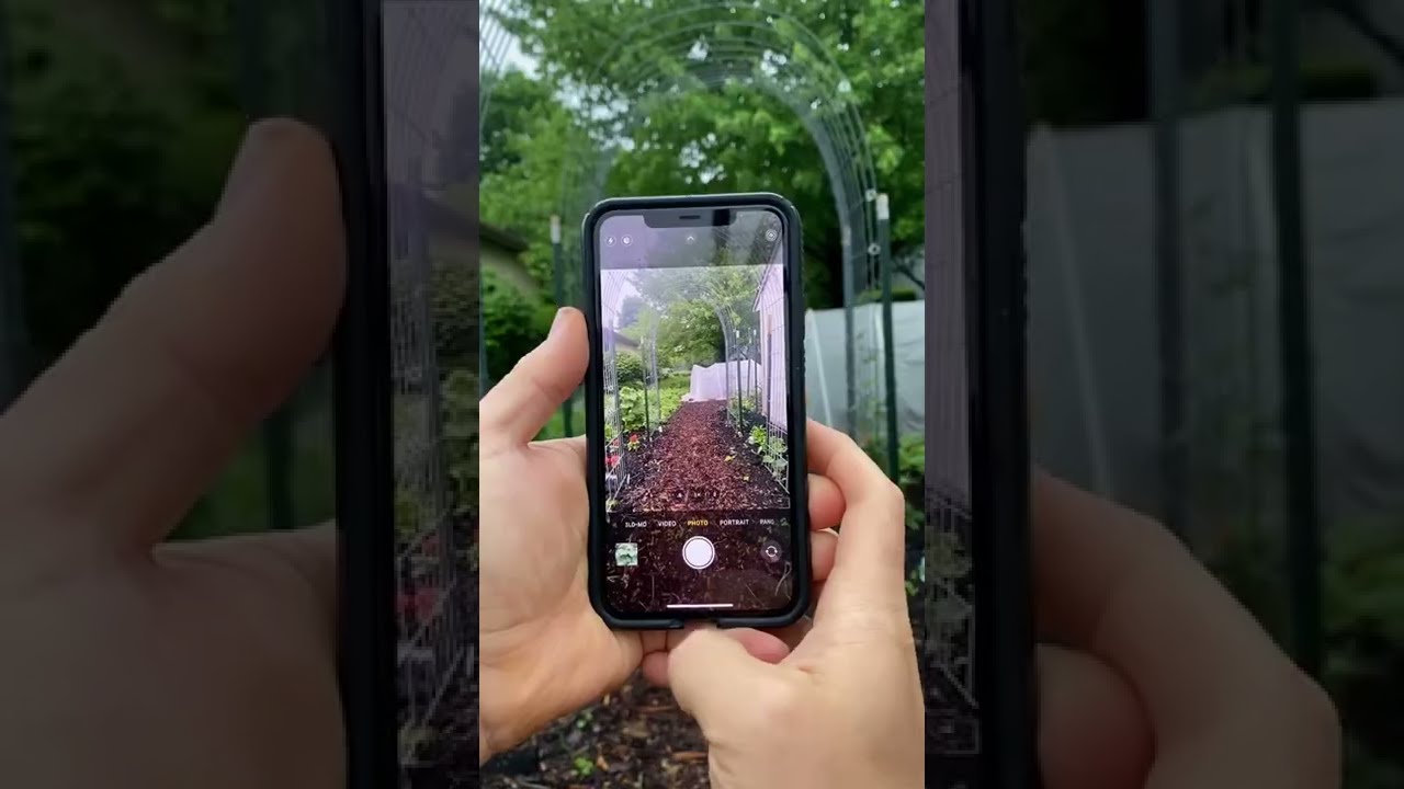 iPhones have built in plant ID?!