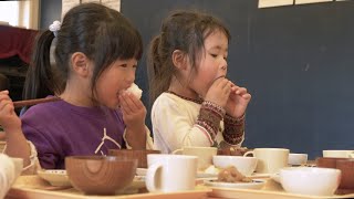 食育 培养良好饮食习惯的教育