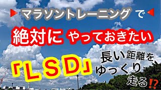 【ランニング】　LSDトレーニングの目的とやり方　#7