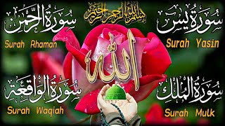 Surah Yaseen (Yaseen)✨🌟✨Full surah Yaseen tilawat 🌟✨🌟Surah Yaseen Sharif🌟✨🌟By Muhammad Ali (Full HD)