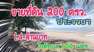 (EP.298)ขายที่ดินใกล้ทะเล500เมตรประจวบฯ(200ตรว.)(ลดเหลือ1.4ล้านบาท)ฟรีโอน