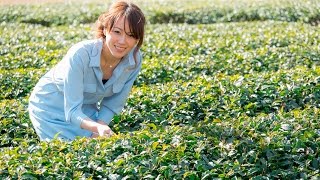 いばナビ×月刊オートガイド-水戸黄門が飲んだお茶を求め、美味と人々の温かさにふれる城里町ドライブ編