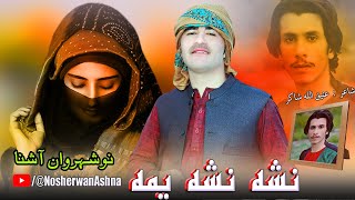 Pashto New Songs 2023 | Nashah Nasha Yema  | Nosherwan Ashna Songs | Pashto Songs 2023