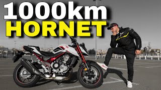 1000km CON MI HORNET 750cc La Mejor MOTO DE HONDA!!!🤯