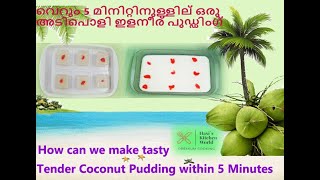 Tender Coconut / Elaneer / Karikku Pudding |5 മിനിറ്റിനുള്ളില്‍ ഒരു  കിടിലന്‍ കരിക്ക്  പുഡ്ഡിംഗ്