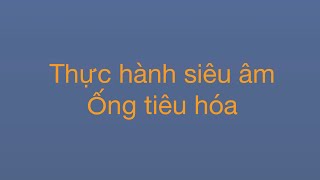 Thực hành siêu âm ống tiêu hóa