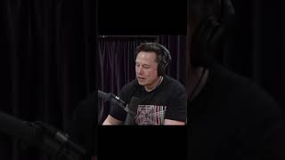 Elon Musk on Human Consciousness