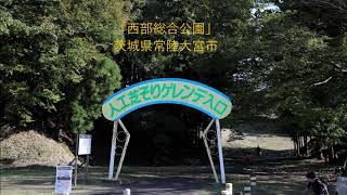 西部総合公園　芝そり遊び