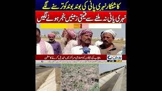 Farmers Face Water Crisis in Sidhuw Minor Tail Area as Irrigation Drought Worsens | News Update