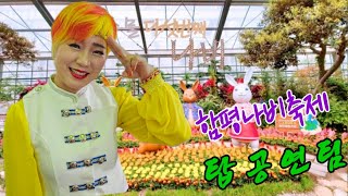 #노랭이TV#탑공연팀#태백#노랭이#함평나비축제#홍수#1.2.9👉화이팅