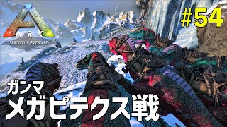 【ARK】#54 雪山のボス「メガピテクス（ガンマ）」に精鋭ティラノ軍団で挑む！（アイランド編）［ARK Survival Evolved］