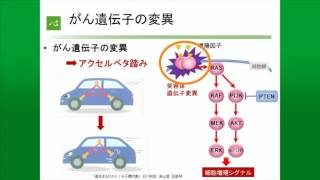 遺伝子情報に基づいた肺がん治療の展開にむけた 取り組み　～プロジェクトHOPEについて～