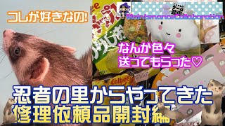 【修理コラボ第二弾】忍者の里からやってきた修理依頼品！色んな物が入っていた！あんまんはこれが好き♡【フェレット・胡車児・修理】