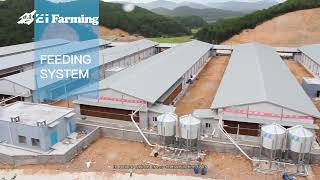 Ei Farming  Poultry Breeding Equipment (Fisher +86 13675427936)