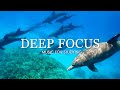 Deep Focus Music To Improve Concentration - 12 Hours of Ambient Study Music to Concentrate #719