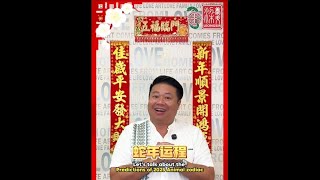 Sifu Leongsir 2025 年十二生肖旺旺旺 - 虎 Tiger、兔 Rabbit、龙 Dragon