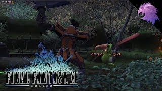 FFXI | 66-73 in the Arrapago Reef \u0026 Mamook | Dancer Leveling Challenge