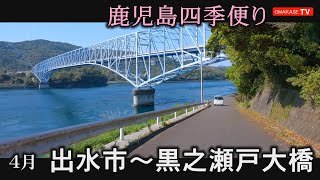 黒之瀬戸大橋 　三笠中学校　梶折鼻公園　阿久根市　脇本　出水市　特産館いずみ　鹿児島　おまかせテレビ　2023年4月3日