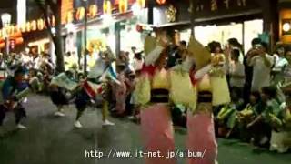 第36回 神楽坂祭り (阿波踊り) 19　新宿