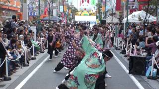 朝霞鳴子一族め組さん（Ⅰ）＠2010　YOSAKOI松戸