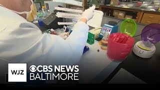 Scientists report progress in creating a bird flu vaccine