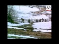 bosnia moslem advance bosnian village evacuation