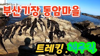 부산 기장군 동암마을~용궁사.    트레킹 + 해루질