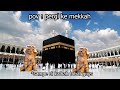 Pov : pergi ke Mekkah | meme kucing 🤣 8