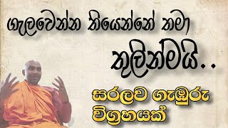 නැවත නැවත උපදින එක ඇත්තක්ද.?