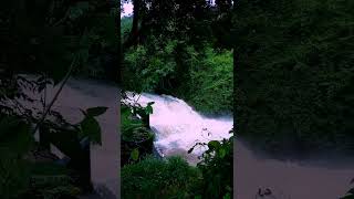 അരുവിക്കുത്ത് വാട്ടർഫാൾസ് -Aruvikuthu Waterfalls -Nilavoor Rubber Plantation, Malankara - Thodupuzha