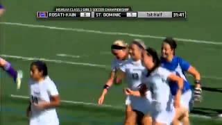 Kristin Wolff of St. Dominic scores a goal in the MSHSAA class 2 championship