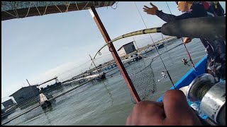 Vlog 37 Trip Memancing Sungai Udang (9/12/2020)