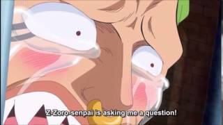 One Piece Bartolomeo talks to Zoro