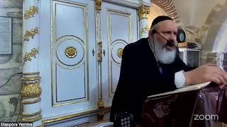 The Subject of Chalipin (Exchange) | Part 17 | Kiddushin Shiur Klali | Rabbi Yitzchak Goldstein