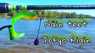 TOKYO RIG | NÄIN TEET TOKYO RIGIN | KUINKA KALASTAT TOKYO RIGILLÄ | AHVENENKALASTUS | KUHAN KALASTUS