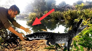 इतना बड़ा मगरमच्छ मेरे हाथ नही आया | रोंगटे खड़े हो गए 😱 | Dengerous Crocodile 🐊 Wildlife ki Duniya