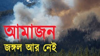 দাবানলে পুড়ছে আমাজন জঙ্গল | The Amazon forest is on fire | uPai Bangla