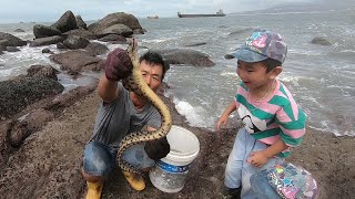 孙子胆大跑前面发现猛货，满身花斑粗壮给力太凶了，来叔也害怕啊