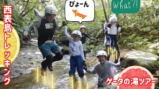 【10月の西表島旅行 後編】ゲータの滝ツアー（のぶず）