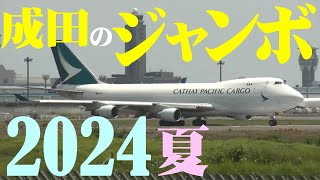 【成田空港】やっぱり成田は”ジャンボ”でしょ！2024年の夏も成田の空を舞う”空の女王”ボーイング747の現状と展望を徹底的に追った！