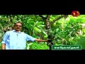 veritta kazhchakal k aravind organic farm in palakkad part 2 3