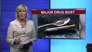 Police bust 25 in alleged drug ring