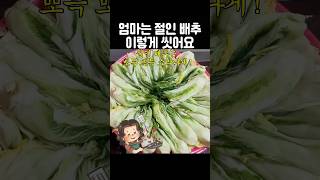 엄마는 절인 배추 이렇게 씻어요 #엄마음식 #저당 #집밥 #당뇨식 #건강식