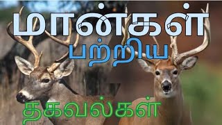 மான்கள் பற்றிய தகவல்கள்( # facts of Deer)