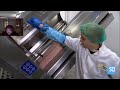 caseoh watch how pre packaged sandwiches are made