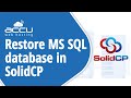 How to take backup and restore MSSQL database in solidCP control panel?