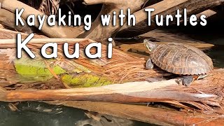 Hanalei River Turtles Kayak, Hiking and Snorkeling in Kauai Hawaii