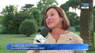 Ecomafie, l’intervista a Isabella Pratesi del WWF