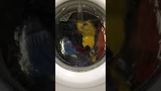 Zanussi ZWF14380W cotton main wash